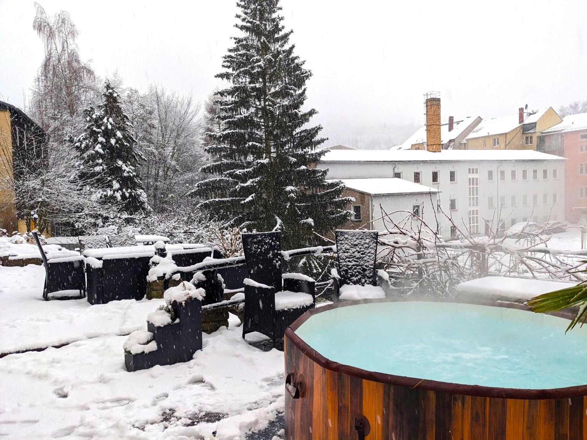 F2 - Urlaubsmagie Sauna, Whirlpool, Pool & Garten Зебниц Экстерьер фото